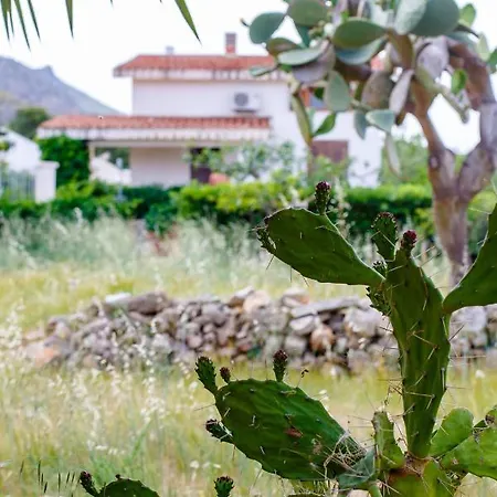 Sanvitotour - Soffio Di Mare * San Vito Lo Capo