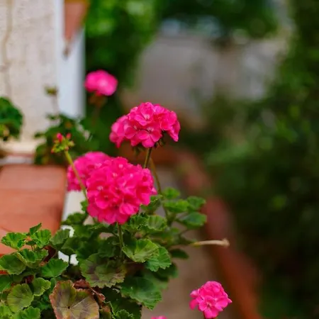 Villa Sanvitotour - Soffio Di Mare *