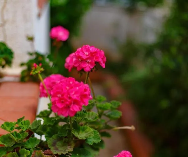 Vila Sanvitotour - Soffio Di Mare *